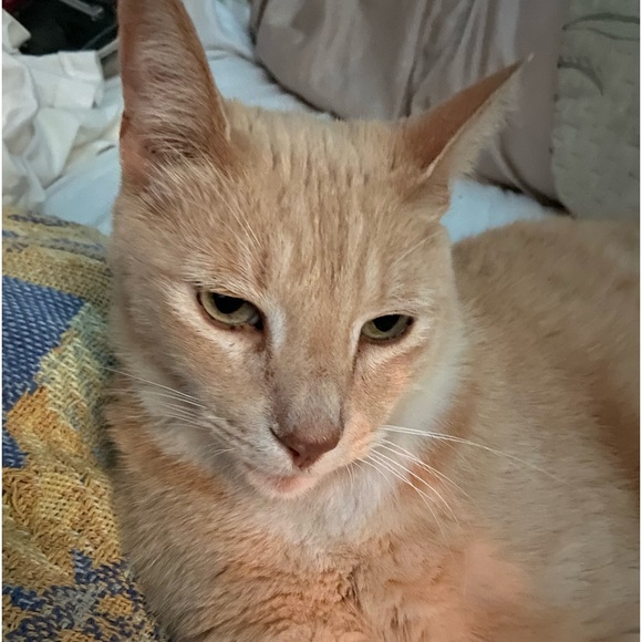 Meet your Posher, Janice - Picture 3 of 16